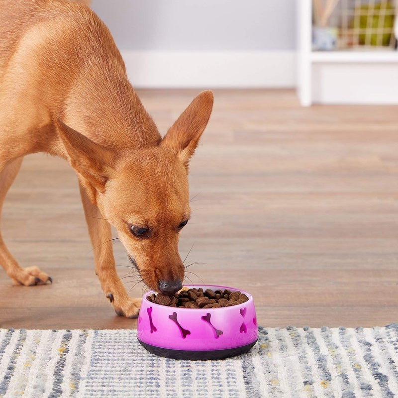 Dogit Non-Skid Dog Food and Water Bowl, Blue - BPA-Free Dog Dish 4.9 Inches by 12 cm - Image 3